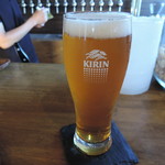 ビア パブ 25 - ブリュードッグパンクIPA　レギュラーサイズ