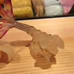 祇園寿司 - 【車海老】