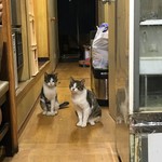 らーめんごっこ山小屋 滝野川店 - 