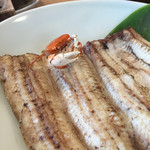 うなぎ亭 友栄 - 