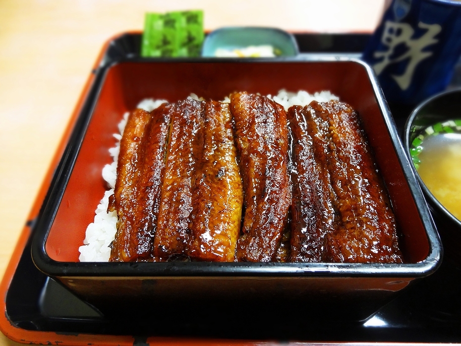 吉野家 1号線島田店 name=