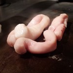 こうね - 本日マスターおすすめの丸腸！まんま～