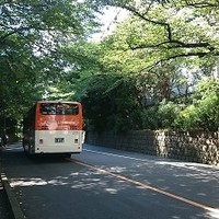 チリエージョ - 