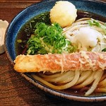 讃岐うどん はるしん - 天ぶっかけ２玉870円