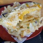 （2016-7-27）天ぷら　かき揚げとかぼちゃ