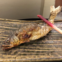 日本料理 太月 - 2016/7（ランチ）郡上八幡の鮎