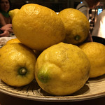 SUGALABO - 宝韶寿レモン