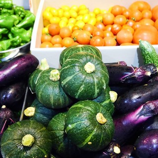 Plenty of seasonal fresh pesticide-free vegetables