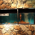 キリンビール園　本館 - 