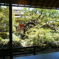 東京 芝 とうふ屋うかい - 部屋からの景色