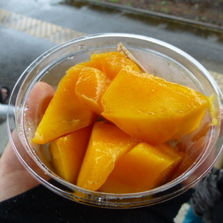 宮崎観光写真社_2