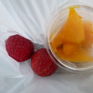 宮崎観光写真社_1