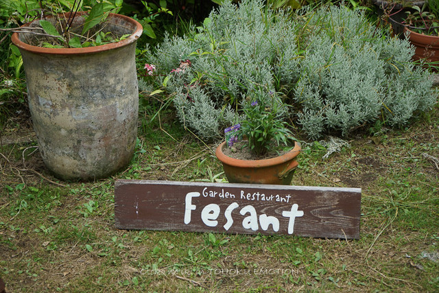 ガーデンレストラン・フェザント（Garden Restaurant Fesant） - 鮫（洋食）の写真