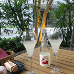 恵比寿 箸庵 - 微発泡純米にごり酒で乾盃〜♬