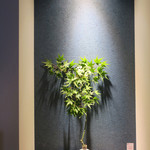 恵比寿 箸庵 - 涼しげなニッチの意匠