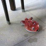 恵比寿 箸庵 - 可愛い金魚の香取〜♬