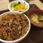 すき家 - 牛丼並盛りサラダセット 500円
並盛り多いなーと思った！いい傾向！