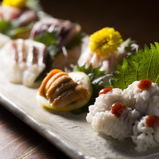 アポロプラス_2