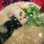 ラー麺 ずんどう屋 - 料理写真:元味らーめんを背脂こってりちぢれ麺で。背脂を増やしたおかげか、甘い味です♪