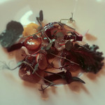 マダム・トキ - きのことハーブのサラダと海の幸