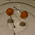 フロリレージュ - ほおずきのオレンジコーティング