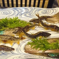 和ごころ 泉 - 