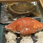 寿しの吉乃 - 2016.08　本日のネタ