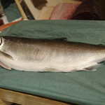 寿しの吉乃 - 2016.08　本日のネタ