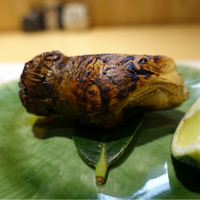 柳家錦 - 