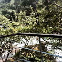 妙見石原荘 食菜石蔵 - 食事処から見える景色は格別