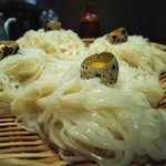 Ogahantou - 070602男鹿半島稲庭うどん.jpg