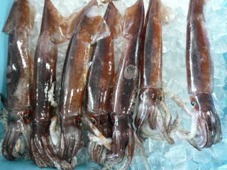 青森産地直送 炉端居酒屋 宵宮がほんず - 勾当台公園（海鮮）の写真