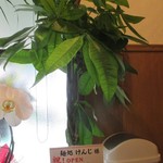 NOODLE CUISINE KENJI 麺処 けんじ - 