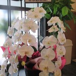 NOODLE CUISINE KENJI 麺処 けんじ - 