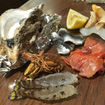 トラットリア ポルコロッソ - 