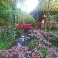 うかい鳥山 - 