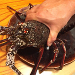 味あら井 - 地物の伊勢海老くん 巨大