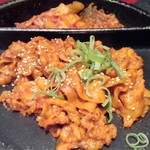 さんぱ家 - 2016.8.4。練炭焼きプルコギのアップ。