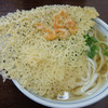 桃太郎本店 - 天ぷらうどん