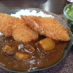 たきた - チキンカツが大きいです