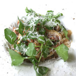 Felicelina - ショートパスタ〝カヴァティエッディ〟仔羊の白ワイン煮込みソースとクレソンを添えて