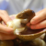 緒方 - 凄く大きい宮津産とり貝