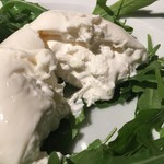 CANTINETTA SALUS - こんなに新鮮なイタリアのブラータは日本では食べたことないなぁ！
                                