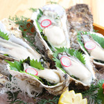 どまん中 秋葉原店