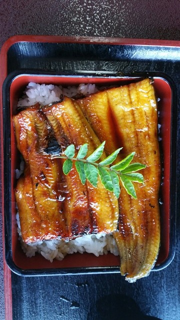 天然鰻のとほつあふみ 浜松市その他 うなぎ 食べログ