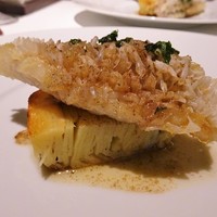 アーティショー - 11
