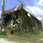 手打ちうどん ぶれーど・う - 春先に比べるとキテおります。