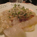 カトリカ - ヒラメ