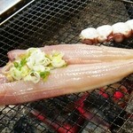 炉ばた ちどり - ホッケチャンチャン焼き タコ串