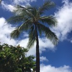 Golden Pork Tonkotsu Ramen Bar - 暑いよ